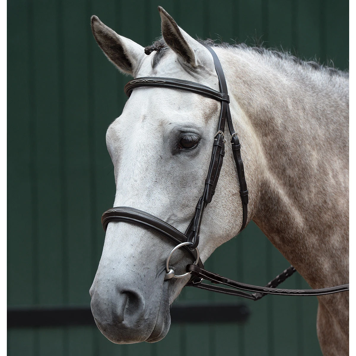 Collegiate Essential Fancy Stitched English Bridle 1 Collegiate Essential Fancy Stitched English Bridle
