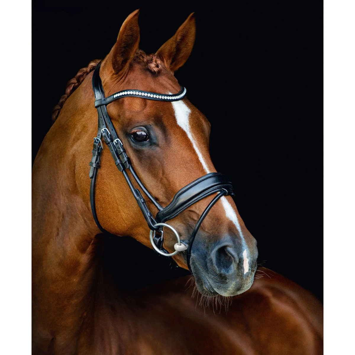 Schockemohle Malibu Antatomic Dressage Bridle 1 Schockemohle Malibu Antatomic Dressage Bridle