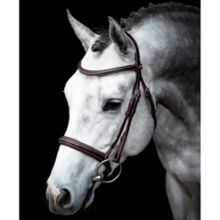 Schockemohle Montreal Select Anatomic Bridle
