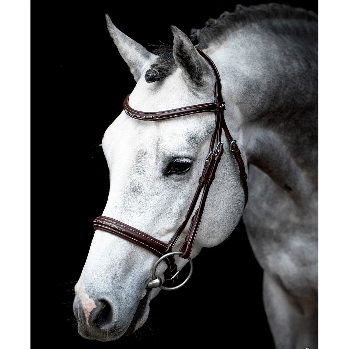 Schockemohle Montreal Select Anatomic Bridle 1 Schockemohle Montreal Select Anatomic Bridle