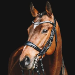Schockemohle Equitus Gamma Anatomic Dressage Double Bridle