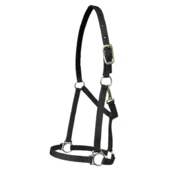 Walsh Nylon Halter .75 Inch