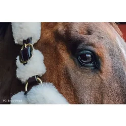 Perris Sheepskin Shipping Halter -Equestrian Supplies Sale 125h c1126 alt2