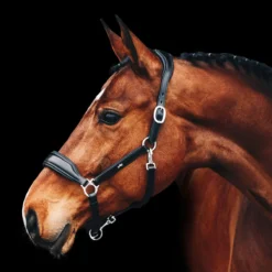 Schockemohle Fremont Anatomic Leather Halter