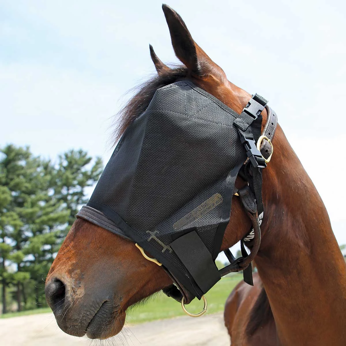Jacks Equivizor Fly Mask 1 Jacks Equivizor Fly Mask