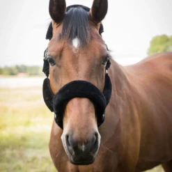 Back On Track Audrey Therapeutic Fleece Halter -Equestrian Supplies Sale 2069c c1105 alt2