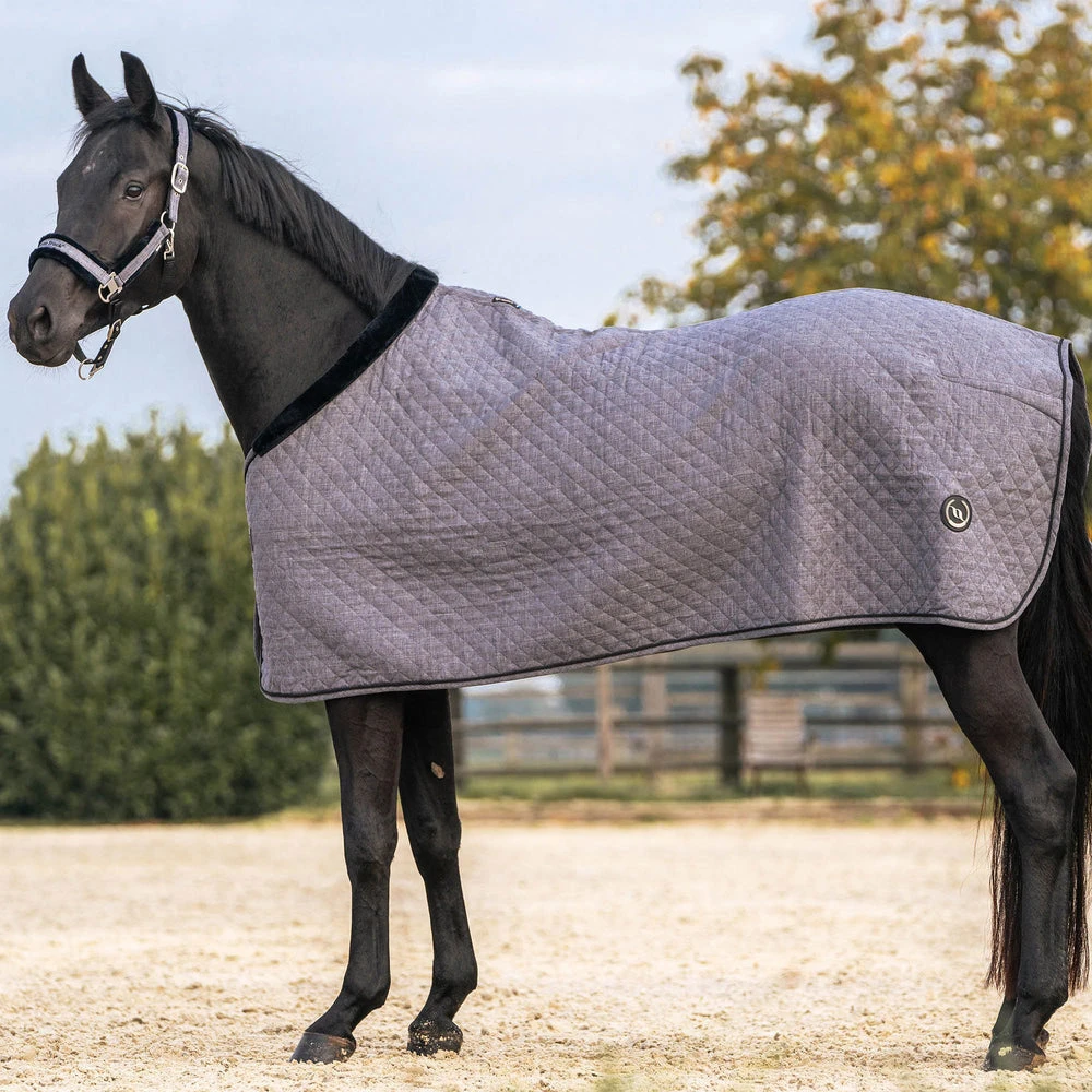 Back On Track Haze Collection Therapeutic Horse Show Quilted Rug 1 Back On Track Haze Collection Therapeutic Horse Show Quilted Rug