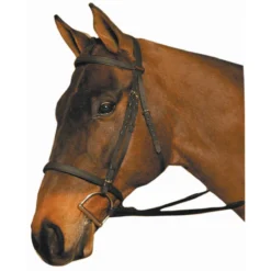 Wintec Synthetic English Bridle Reg Noseband