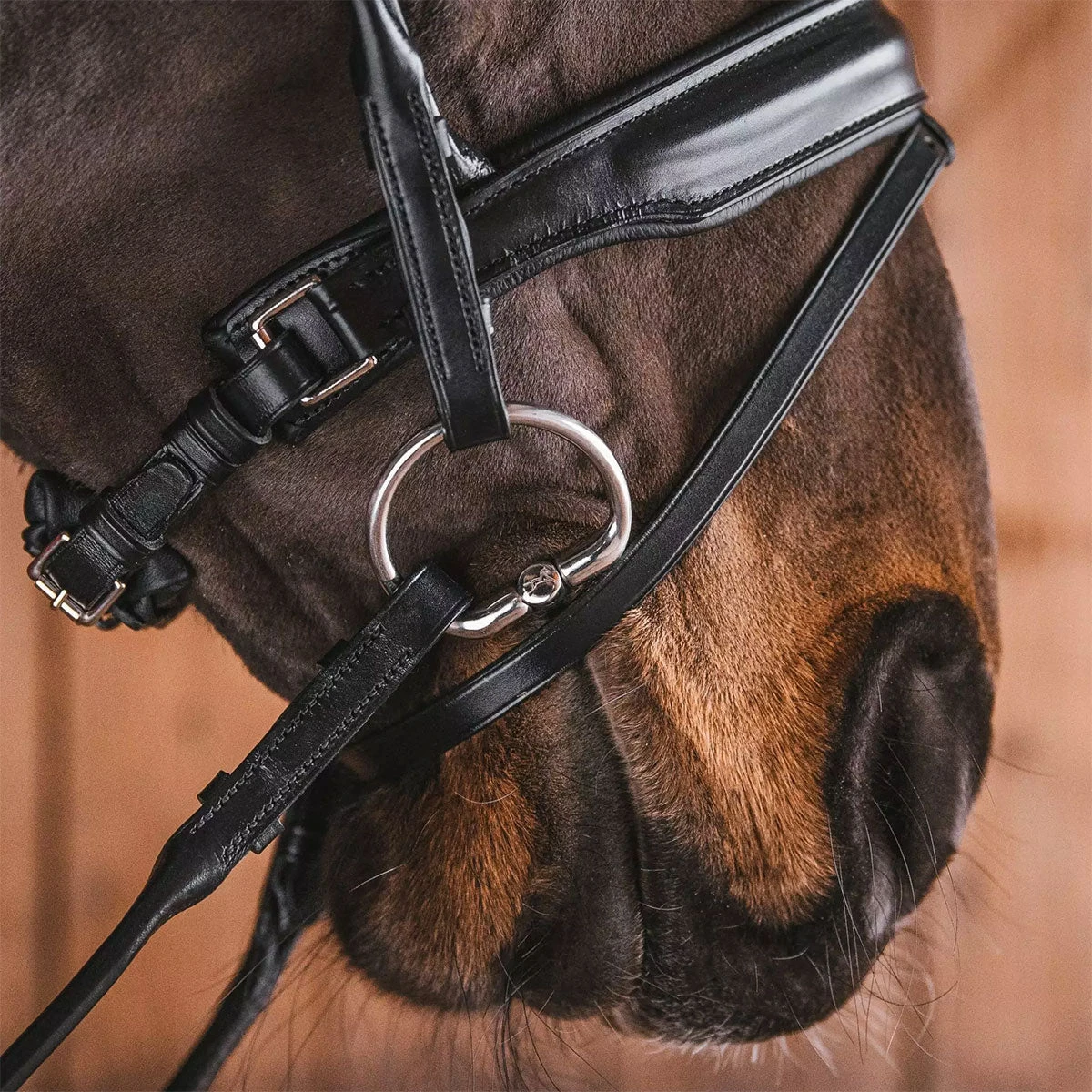 Fager Kasper Sweet Iron Bradoon Fixed Ring - Test Ride Bit 2 Fager Kasper Sweet Iron Bradoon Fixed Ring - Test Ride Bit - Image 2