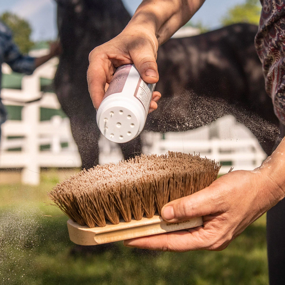 Equiderma Daily Defense Dry Shampoo 8 Oz 2 Equiderma Daily Defense Dry Shampoo 8 Oz - Image 2