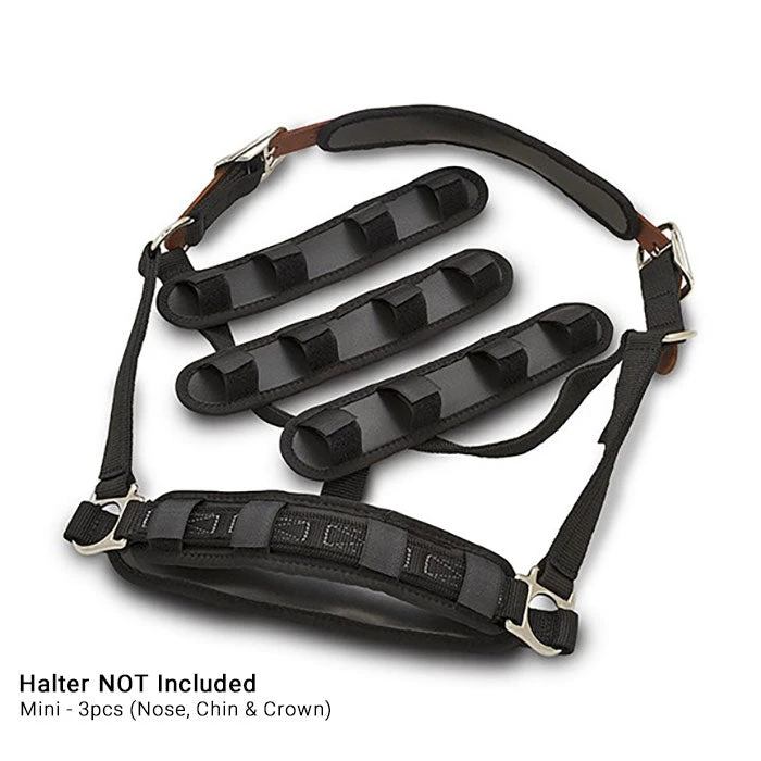 Flexible Filly Halter Liners 1 Flexible Filly Halter Liners