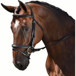 M Toulouse Euro Dressage Bridle