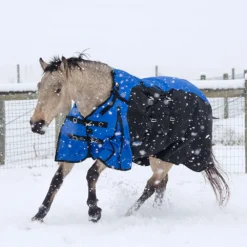 Tough 1 Bellyband 1200D Turnout Blanket With Snuggit Neck 250 Gm 7 Tough 1 Bellyband 1200D Turnout Blanket With Snuggit Neck 250 Gm -Equestrian Supplies Sale 32 12250 c1106 alt1