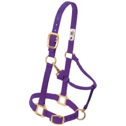 Weaver Leather Weaver Nylon Halter - Suckling Size -Equestrian Supplies Sale 35 1030 c1157
