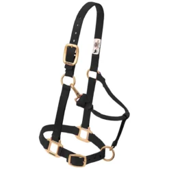 Weaver Leather Weaver Nylon Halter Weanling Pony Size -Equestrian Supplies Sale 35 1032 c1105 19b4f246 fb7e 418d a642 46c43d39549f