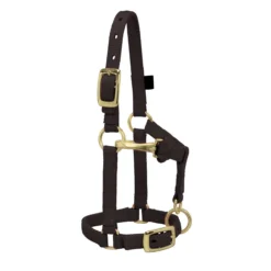 Weaver Leather Weaver Miniature Horse Adjustable Nylon Halter Large -Equestrian Supplies Sale 35 4805 c1105 a6924732 b990 43ef 8f53 65ee5ef75f3a