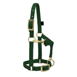 Weaver Leather Weaver Miniature Horse Adjustable Nylon Halter Large -Equestrian Supplies Sale 35 4805 c1129