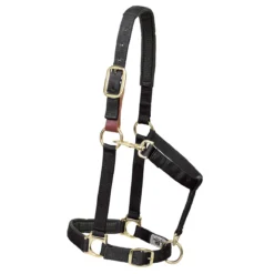Weaver Leather Weaver Breakaway Padded Nylon Halter