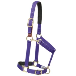 Weaver Leather Weaver Breakaway Padded Nylon Halter -Equestrian Supplies Sale 35 6075 c1157