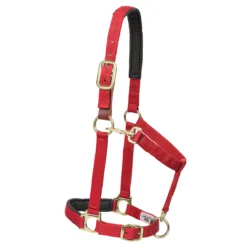 Weaver Leather Weaver Breakaway Padded Nylon Halter -Equestrian Supplies Sale 35 6075 c1158