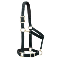 Weaver Leather Weaver Padded Adjustable Nylon Halter -Equestrian Supplies Sale 35 77w c1105 8c89fba0 ecf7 466a b55e 1826c0665aa0