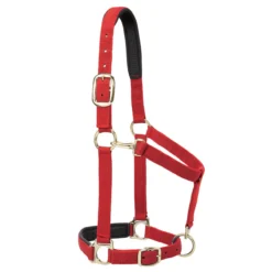 Weaver Leather Weaver Padded Adjustable Nylon Halter -Equestrian Supplies Sale 35 77w c1158
