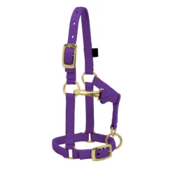 Weaver Leather Weaver Miniature Horse Nylon Halter - Average Size -Equestrian Supplies Sale 3760 c1157