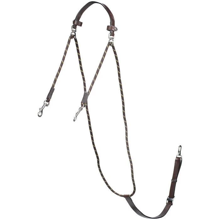 Camelot Chambon 1 Camelot Chambon