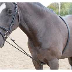 Shires Soft Lunge Aid