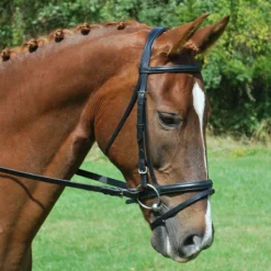 KL Select Red Barn Levade Padded Dressage Bridle