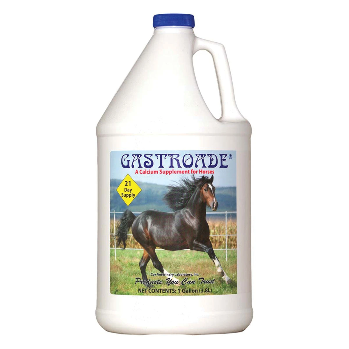 Cox Vet Labs Gastroade - Gallon 1 Cox Vet Labs Gastroade - Gallon