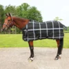 Country Pride Highland 1200D Lightweight Stable Blanket