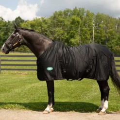 Country Pride Solid Color Cotton Poly Summer Stable Sheet -Equestrian Supplies Sale 7306t c1105 fabe5654 96bd 44a7 847d b138016cfdfa