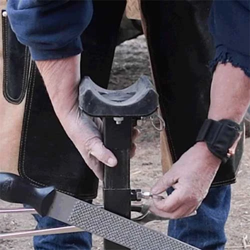 Tough 1 Professional Adjustable Farrier Stand 5 Tough 1 Professional Adjustable Farrier Stand - Image 5