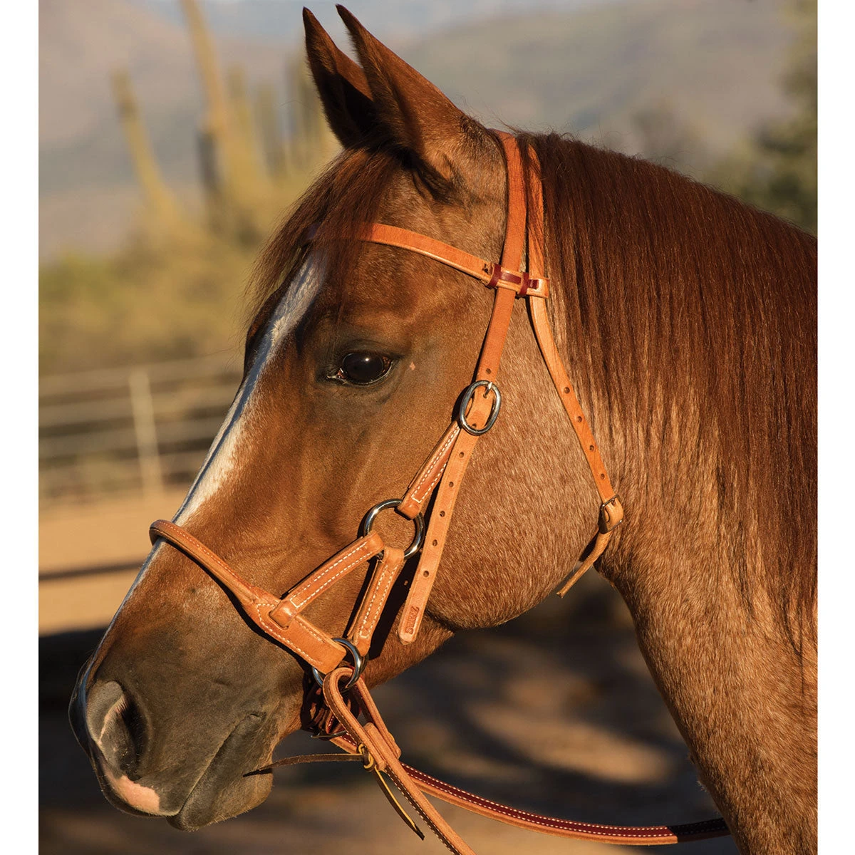 Professionals Choice Round Leather Nose Side Pull 2 Professionals Choice Round Leather Nose Side Pull - Image 2