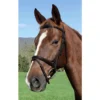 Vespucci Plain Raised English Bridle Brown