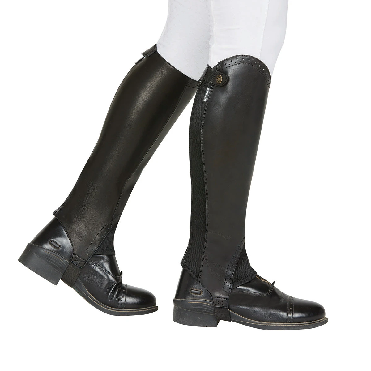 Dublin Evolution Rear Zip Ladies Half Chaps 1 Dublin Evolution Rear Zip Ladies Half Chaps