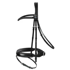 Passier Fortuna Dressage Bridle Horse Size