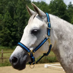 Country Pride Padded Two Tone Nylon Halter 8 Country Pride Padded Two Tone Nylon Halter -Equestrian Supplies Sale 858735 c1106 f3da79ed 4d7e 401e 8421 1dfd191f156a