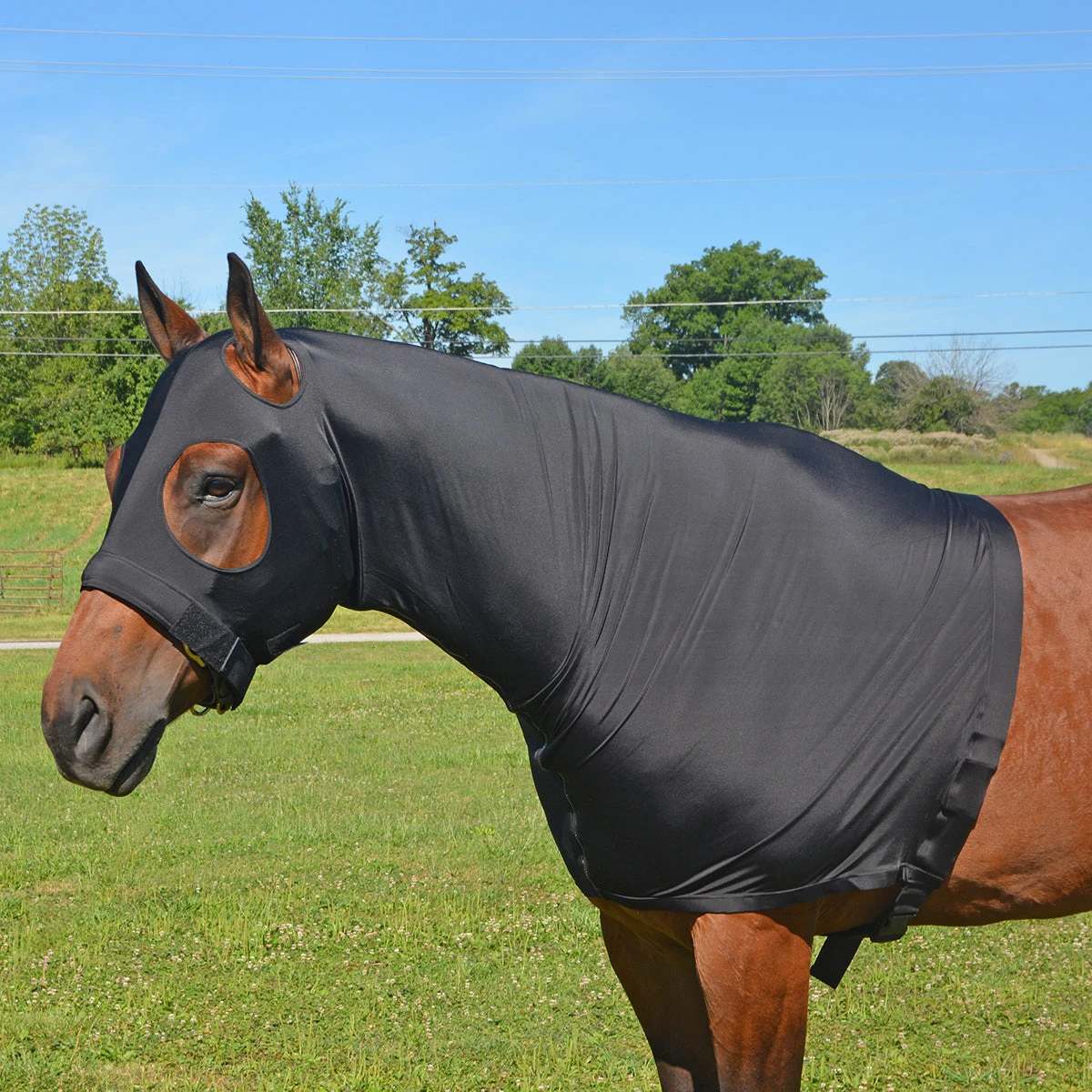 Lycra Head And Shoulder Hood With Full Zipper 2 Lycra Head And Shoulder Hood With Full Zipper - Image 2