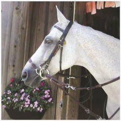 Kineton Noseband English Leather