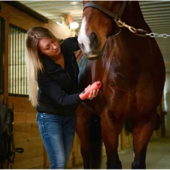 Wahl KM Cordless 2 Speed Clipper Kit 8 Wahl KM Cordless 2 Speed Clipper Kit -Equestrian Supplies Sale 9596 100 c1156 alt3