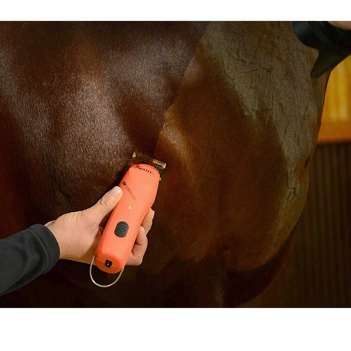 Wahl KM Cordless 2 Speed Clipper Kit 1 Wahl KM Cordless 2 Speed Clipper Kit