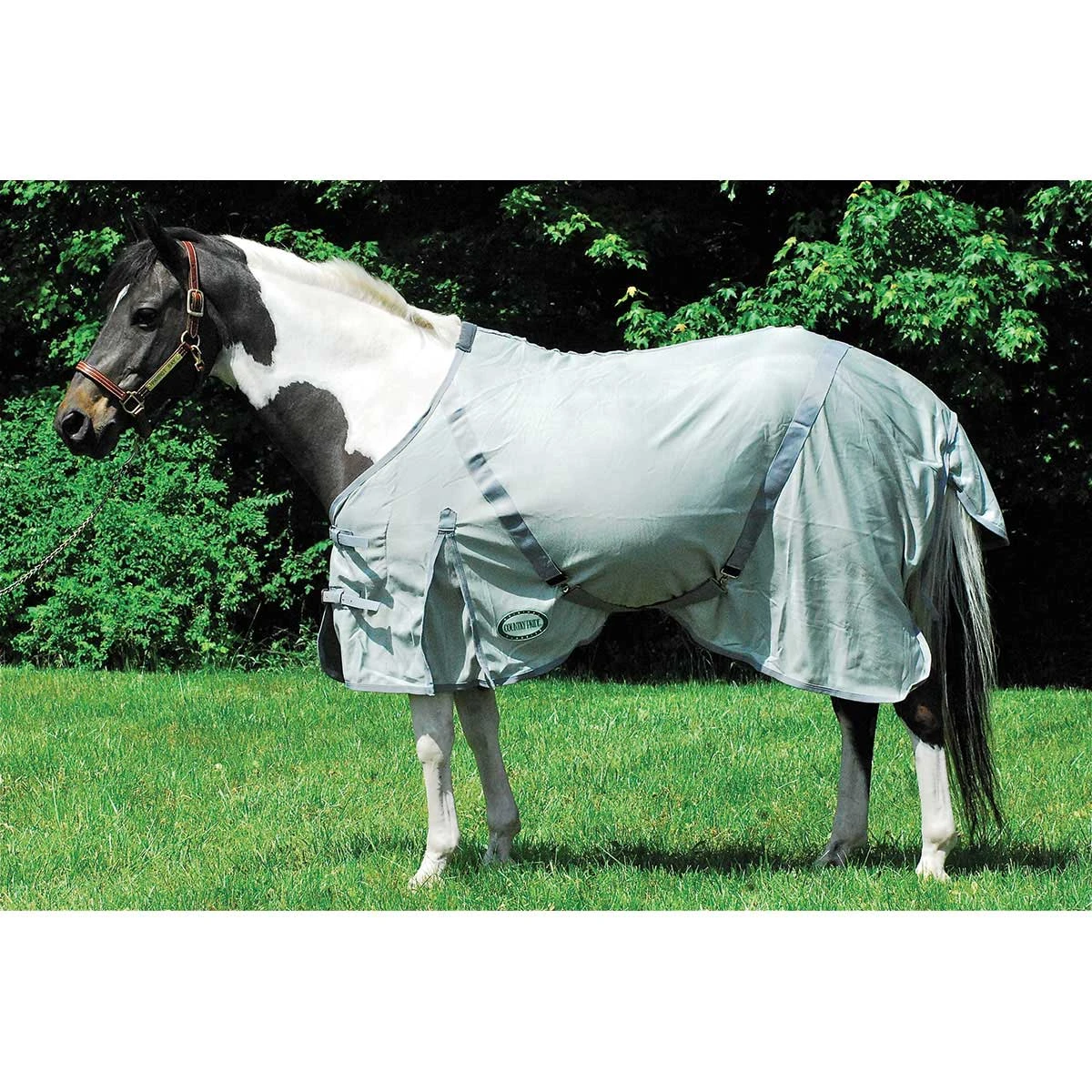 Country Pride Mesh Fly Sheet 2 Country Pride Mesh Fly Sheet - Image 2