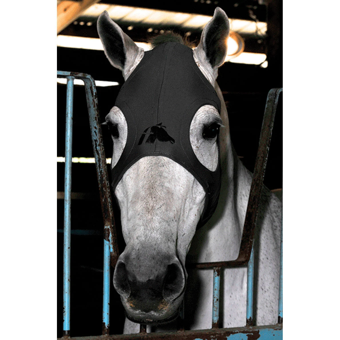Fenwick Liquid Titanium Therapeutic Horse Mask 8 Fenwick Liquid Titanium Therapeutic Horse Mask - Image 8