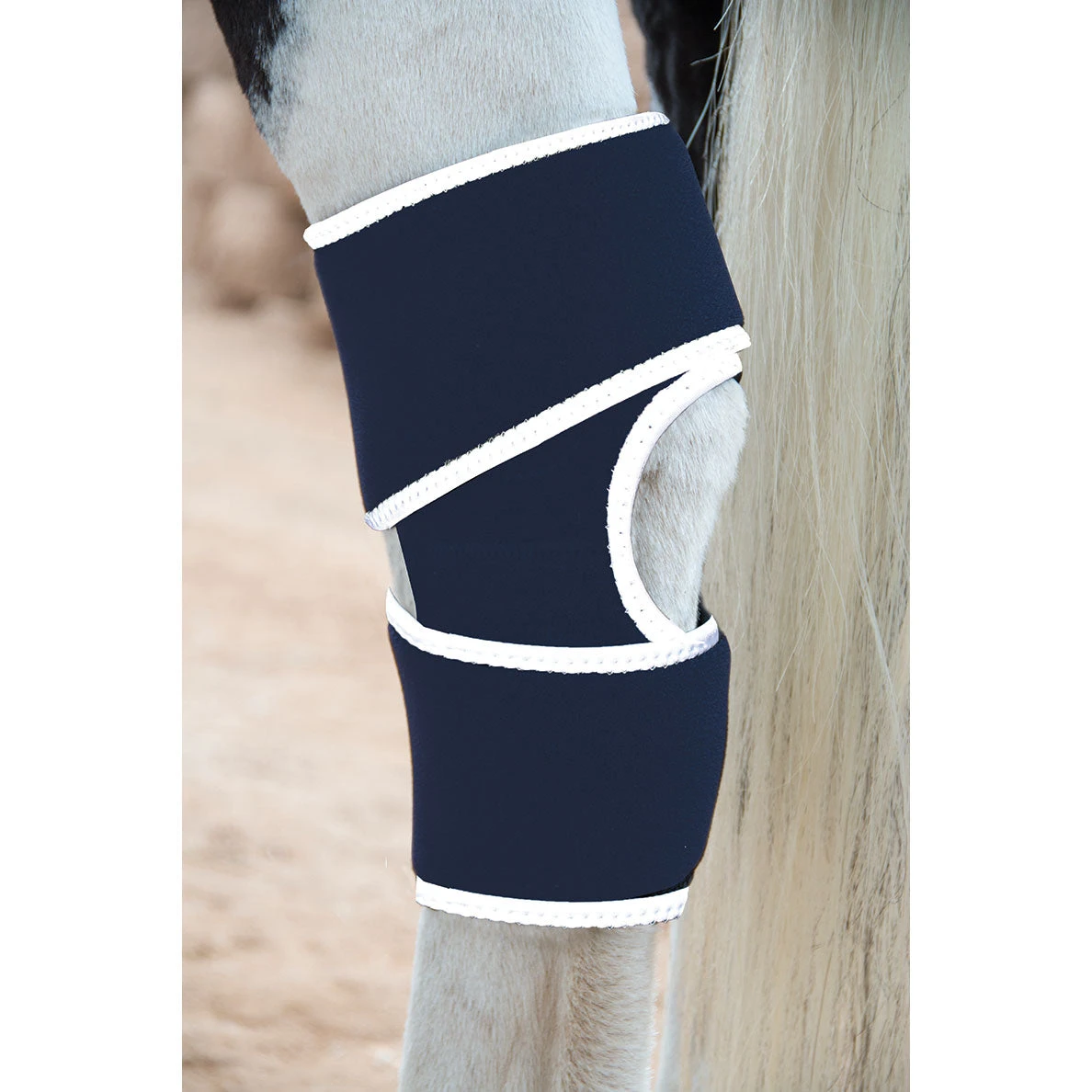 Professionals Choice Therapeutic Magnetic Hock Boot 2 Professionals Choice Therapeutic Magnetic Hock Boot - Image 2