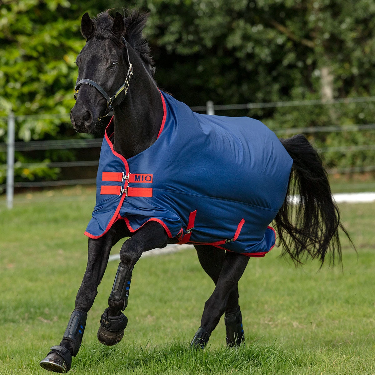 Horseware Ireland Horseware Amigo Mio 200g Medium Turnout 1 Horseware Ireland Horseware Amigo Mio 200g Medium Turnout