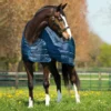 Horseware Ireland Horseware Blanket Liner 200g