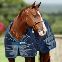 Horseware Ireland Horseware Blanket Liner 200g 10 Horseware Ireland Horseware Blanket Liner 200g -Equestrian Supplies Sale abad62 c1146 alt2