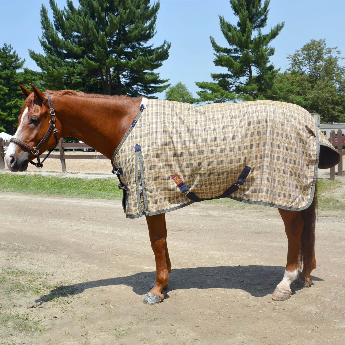 5/A Baker Turnout Blanket Medium Weight 200gm 2 5/A Baker Turnout Blanket Medium Weight 200gm - Image 2